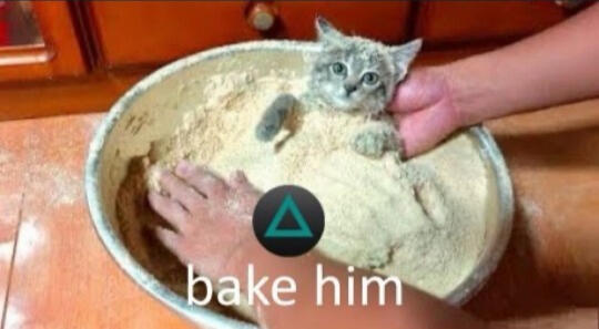 Image of a kitten in a bowl of flour or similar material, looking at the camera while human hands tuck it in. The text reads "bake him" in lowercase letters with a triangle button similar to those found on Playstation controllers.